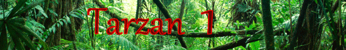 Tarzan 1