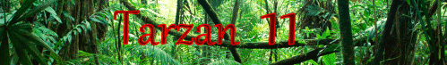 Tarzan 11