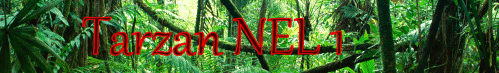 Tarzan NEL 1