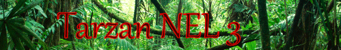 Tarzan NEL 3