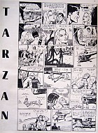 Voorbeeld 1 Tarzan in bijlage van Rapport