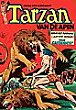 Tarzan DC Comics
                    240