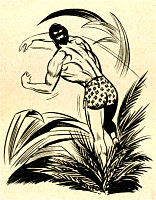Story Tarzan