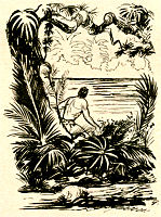 Story Tarzan