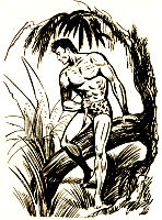 Story Tarzan